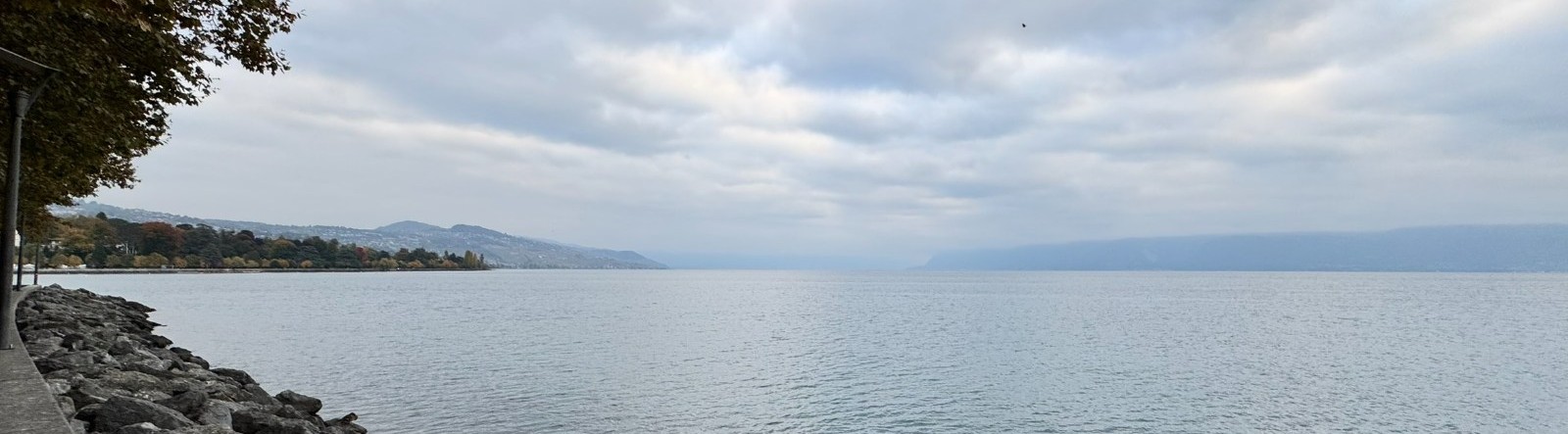 Genfersee Panorama