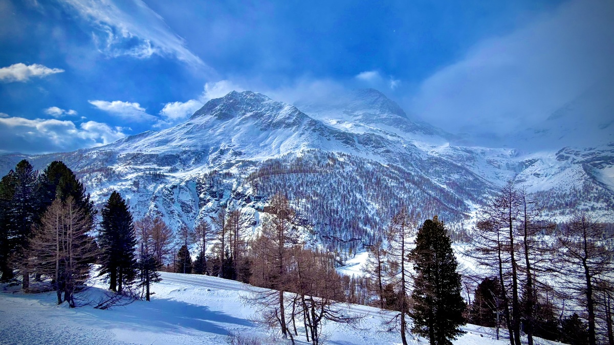 Panoramablick und Traumwetter auf Alp Grüm - 10 Minuten Zwischenstopp für Fotos 